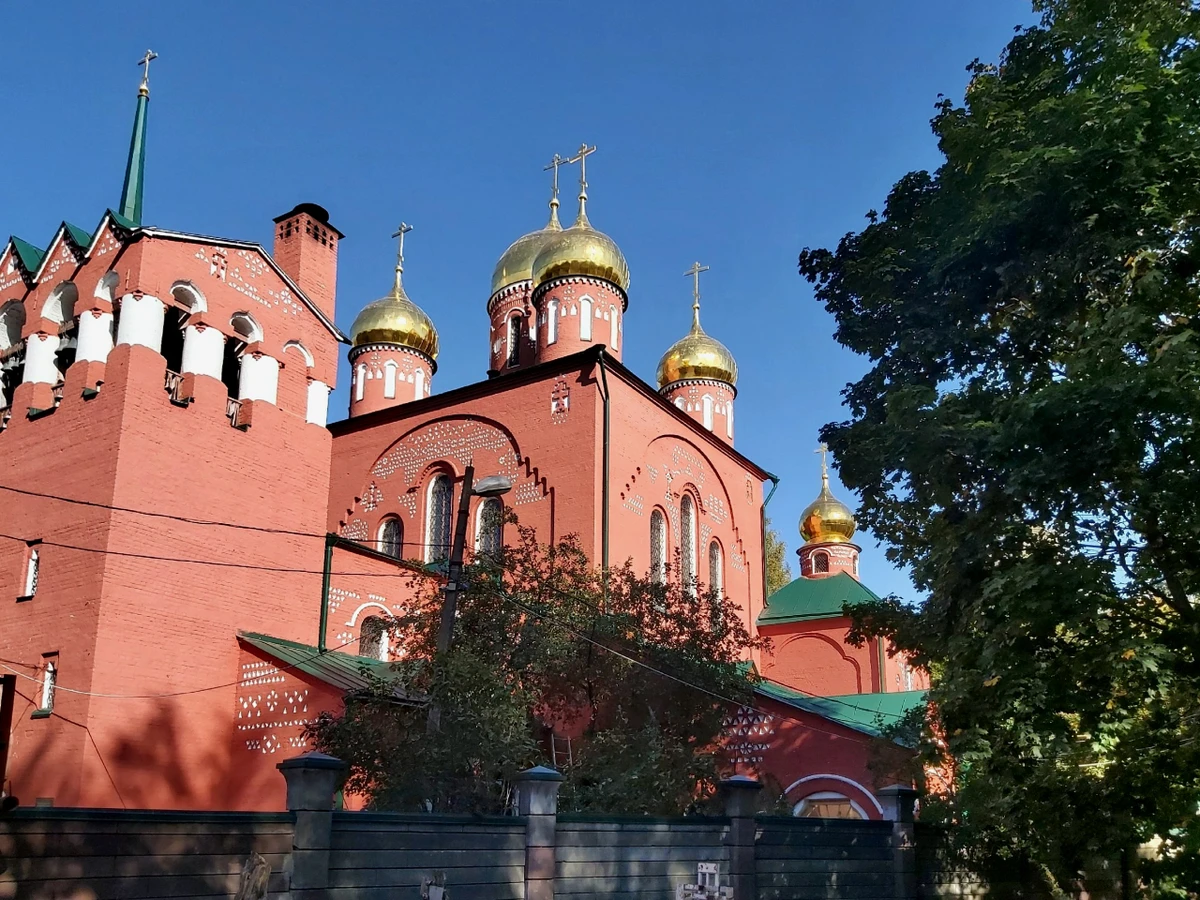 Грибы и гробы: по старинному кладбищу Нижнего Новгорода с микологом — фото 5
