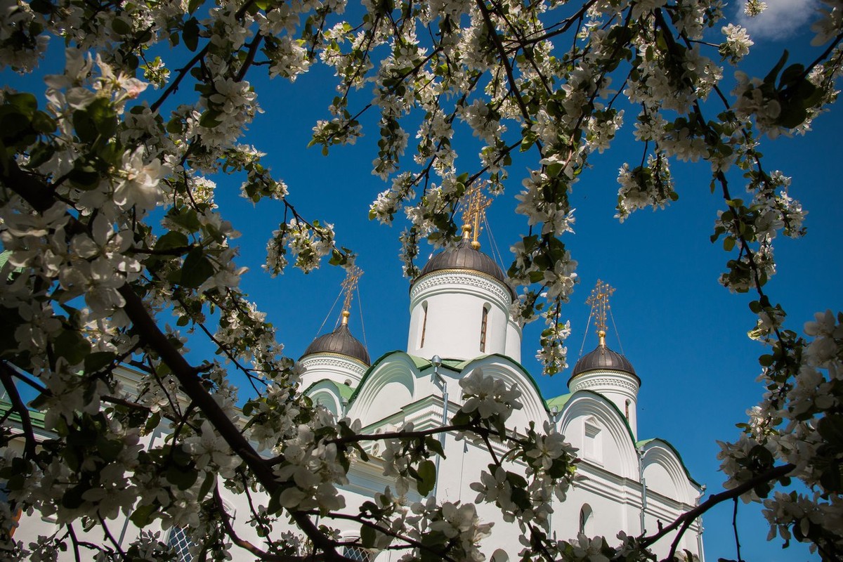 Из Нижнего Новгорода — в славный Муром и село Карачарово! — фото 4