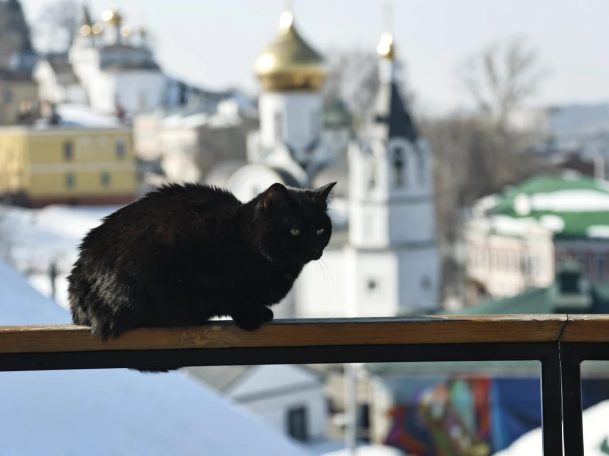 Легенды и тайны Нижегородского кремля — фото 3