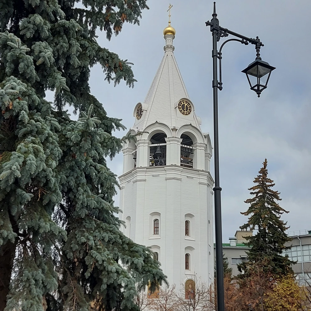 Экскурсия-прогулка по Нижегородскому кремлю — фото 5