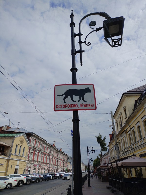 Нижегородские мурлыки