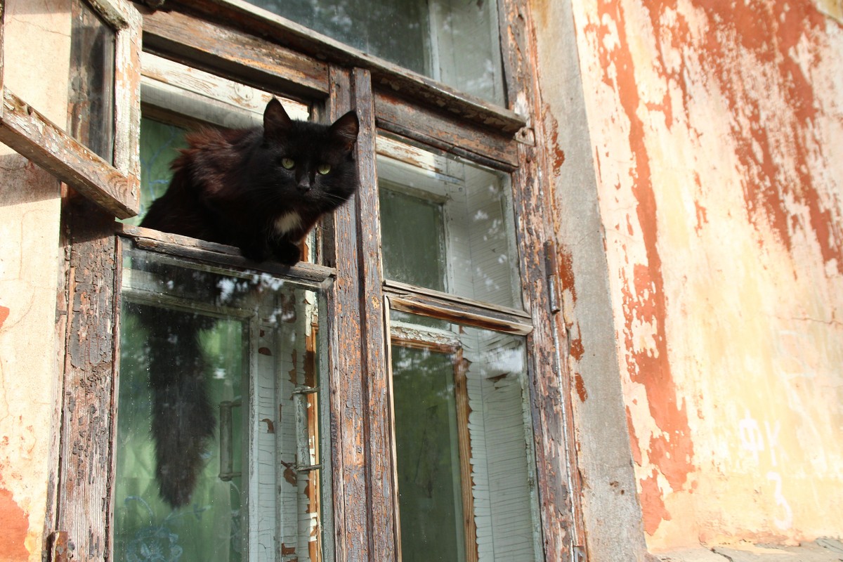 Канавино: горьковское, ярмарочное, заводское — фото 3